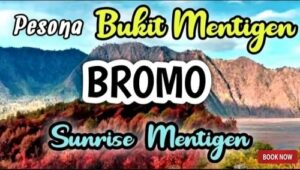 bukit mentigen bromo