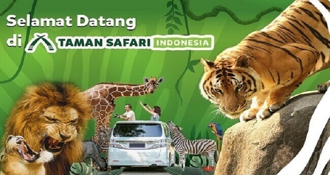 sewa mobil surabaya taman safari prigen