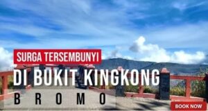 wisata bukit kingkong bromo-min