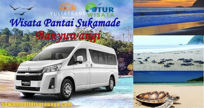 sewa mobil surabaya ke pantai sukamade banyuwangi